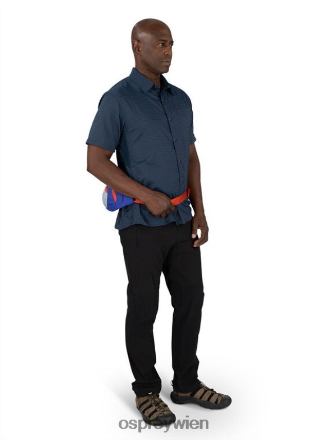 unisex Daylite-Taille jeden Tag Osprey Silberstreifen-Blaubeere Rucksack J4028N409