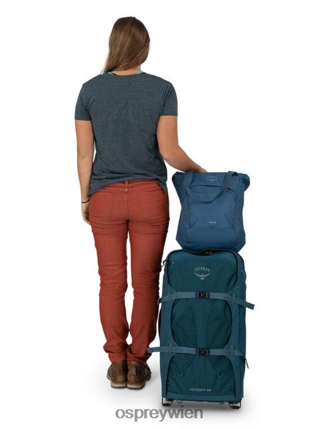 unisex Daylite Tragetasche für jeden Tag Osprey Eskapade grün Baikalgrün Rucksack J4028N401