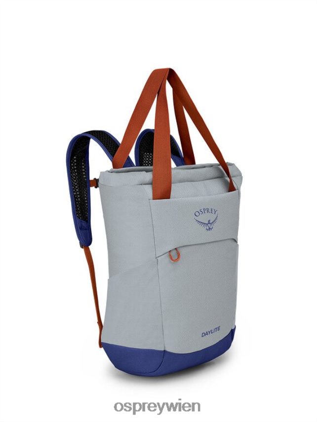 unisex Daylite Tragetasche für jeden Tag Osprey Silberstreifen-Blaubeere Rucksack J4028N399