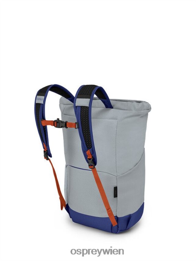 unisex Daylite Tragetasche für jeden Tag Osprey Silberstreifen-Blaubeere Rucksack J4028N399