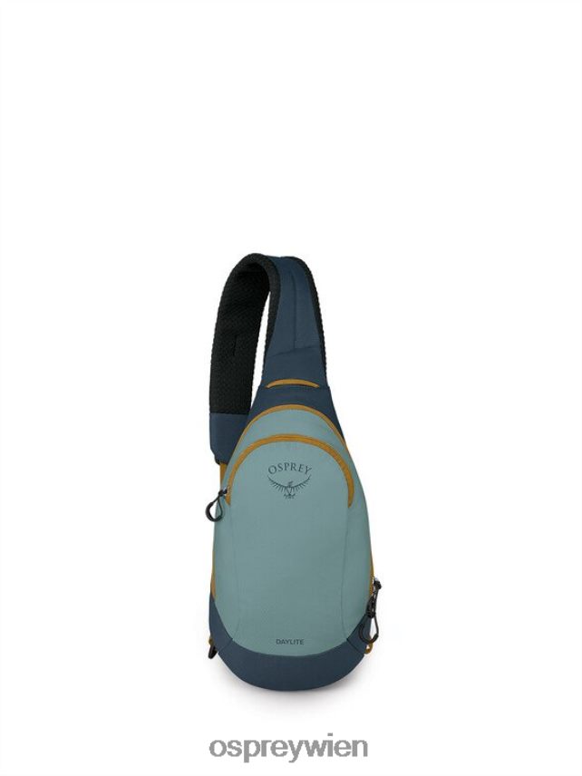 unisex Daylite Tragetuch jeden Tag Osprey Silberstreifen-Blaubeere Rucksack J4028N393