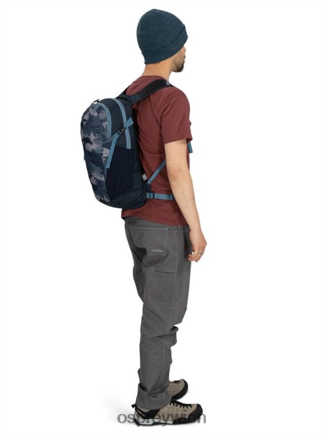 unisex Daylite jeden Tag Osprey Palmblatt-Druck Rucksack J4028N366
