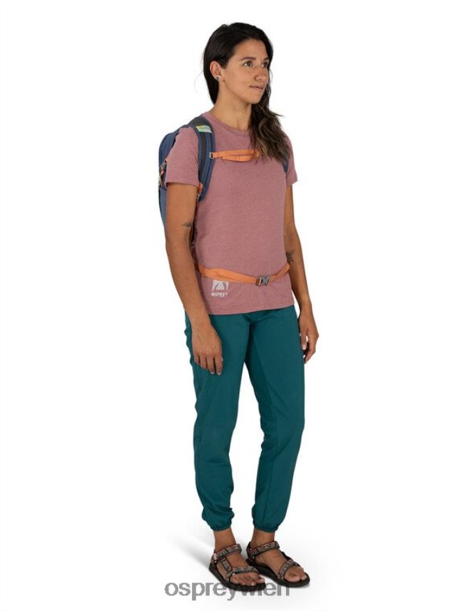 unisex Daylite jeden Tag Osprey Silberstreifen-Blaubeere Rucksack J4028N369