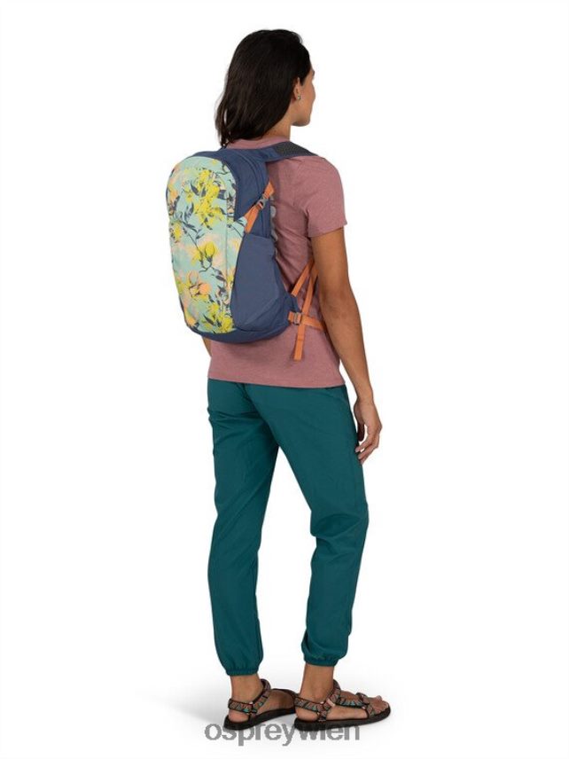 unisex Daylite jeden Tag Osprey Silberstreifen-Blaubeere Rucksack J4028N369
