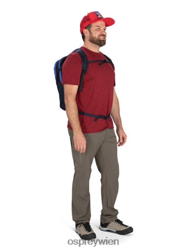 unisex Daylite jeden Tag Osprey Silberstreifen-Blaubeere Rucksack J4028N369