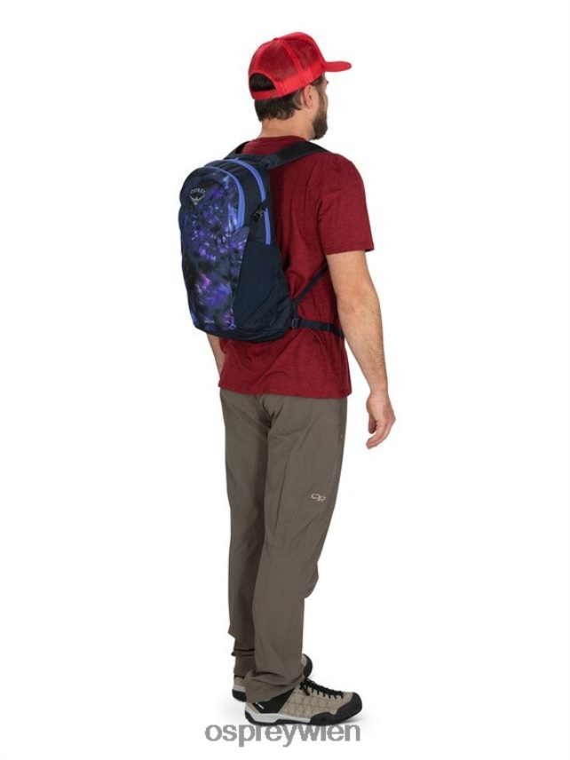 unisex Daylite jeden Tag Osprey Silberstreifen-Blaubeere Rucksack J4028N369