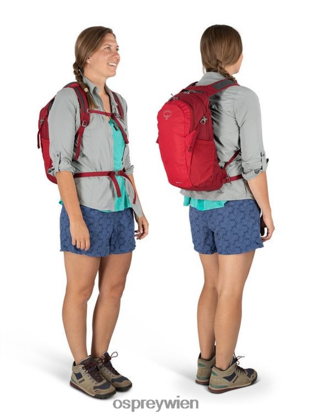 unisex Daylite jeden Tag Osprey kosmisches Rot Rucksack J4028N364