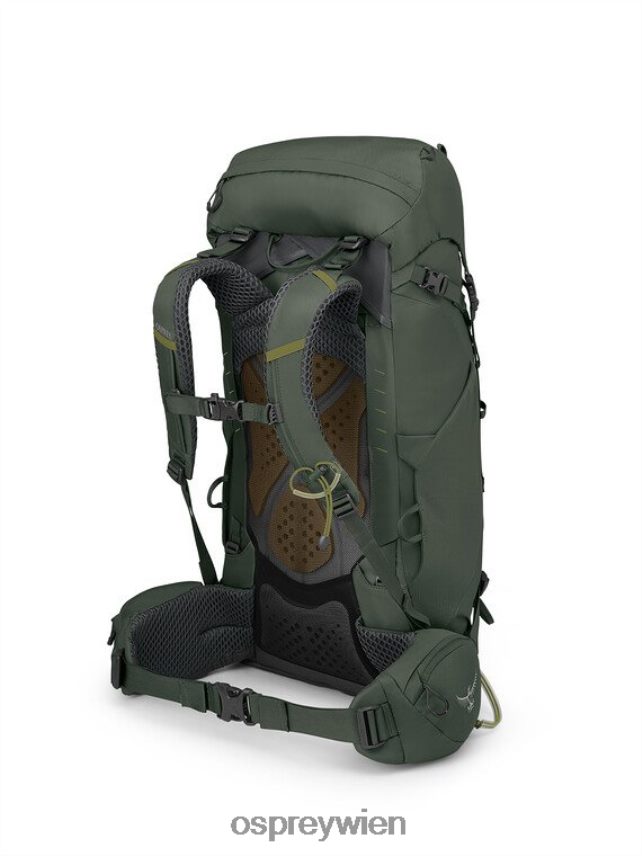unisex Kestrel 38 Rucksackreisen Osprey Bonsai-Grün Rucksack J4028N224