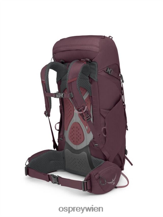 unisex Kyte 38 Rucksackreisen Osprey Holunder Rucksack J4028N225