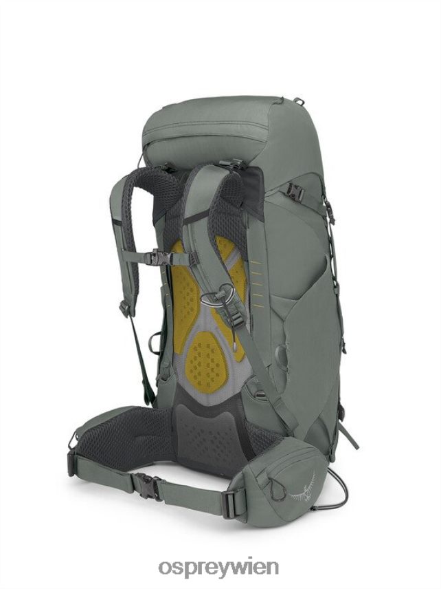 unisex Kyte 38 Rucksackreisen Osprey felsiges Bachgrün Rucksack J4028N226