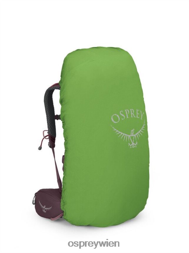 unisex Kyte 48 Rucksackreisen Osprey Holunder Rucksack J4028N59