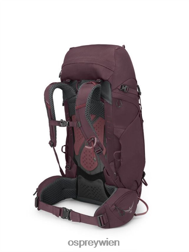 unisex Kyte 48 Rucksackreisen Osprey Holunder Rucksack J4028N59