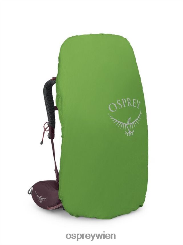 unisex Kyte 58 Rucksackreisen Osprey Holunder Rucksack J4028N62