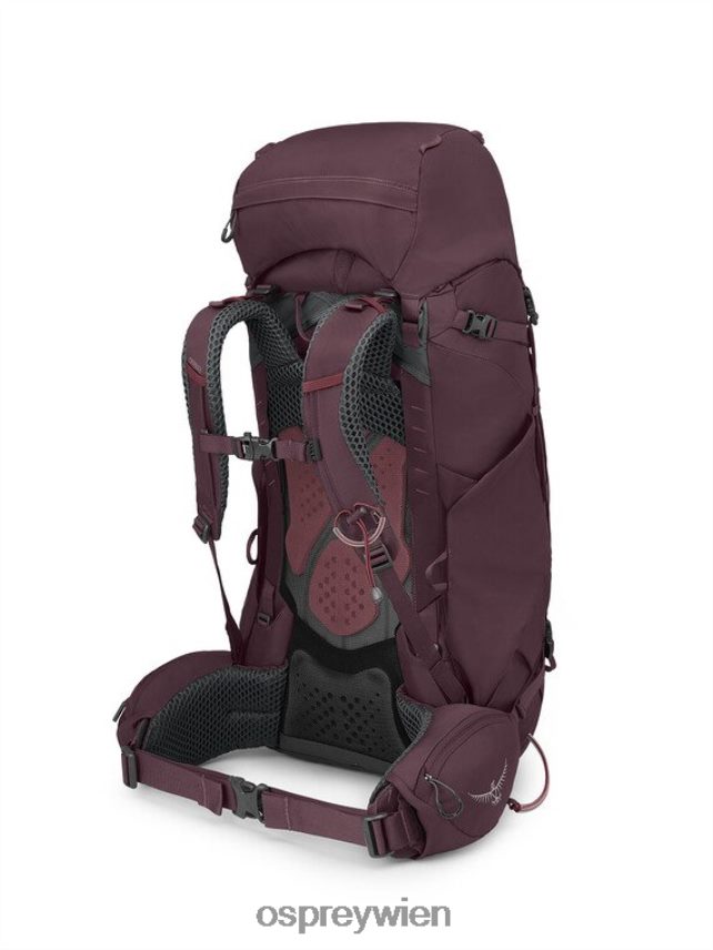 unisex Kyte 58 Rucksackreisen Osprey Holunder Rucksack J4028N62
