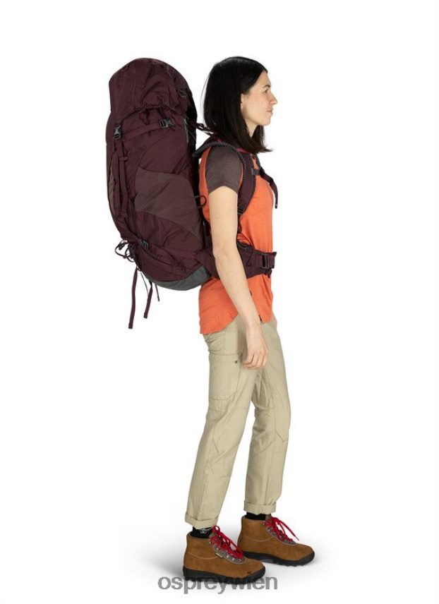 unisex Kyte 68 Rucksackreisen Osprey Holunder Rucksack J4028N64