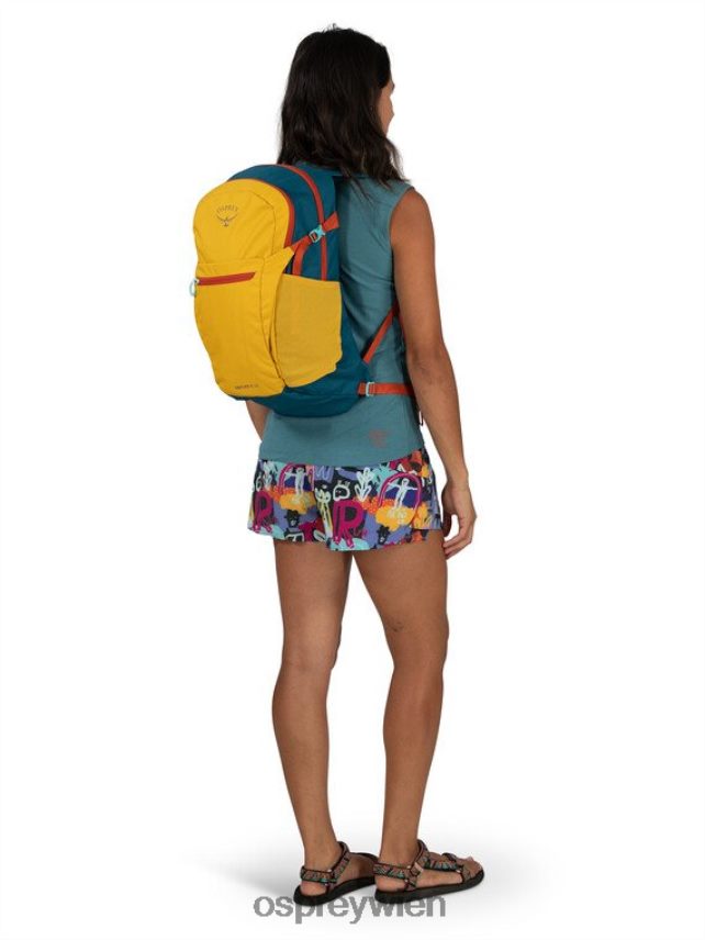 unisex daylite plus jeden Tag Osprey Silberstreifen-Blaubeere Rucksack J4028N385