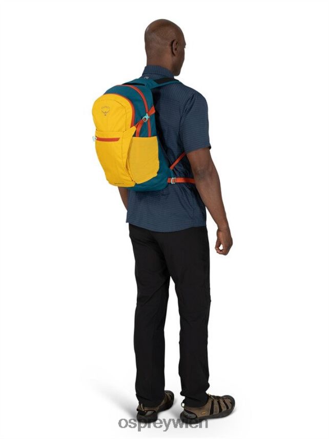 unisex daylite plus jeden Tag Osprey Silberstreifen-Blaubeere Rucksack J4028N385