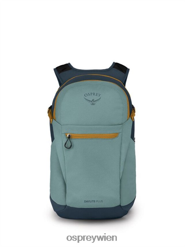 unisex daylite plus jeden Tag Osprey Silberstreifen-Blaubeere Rucksack J4028N385