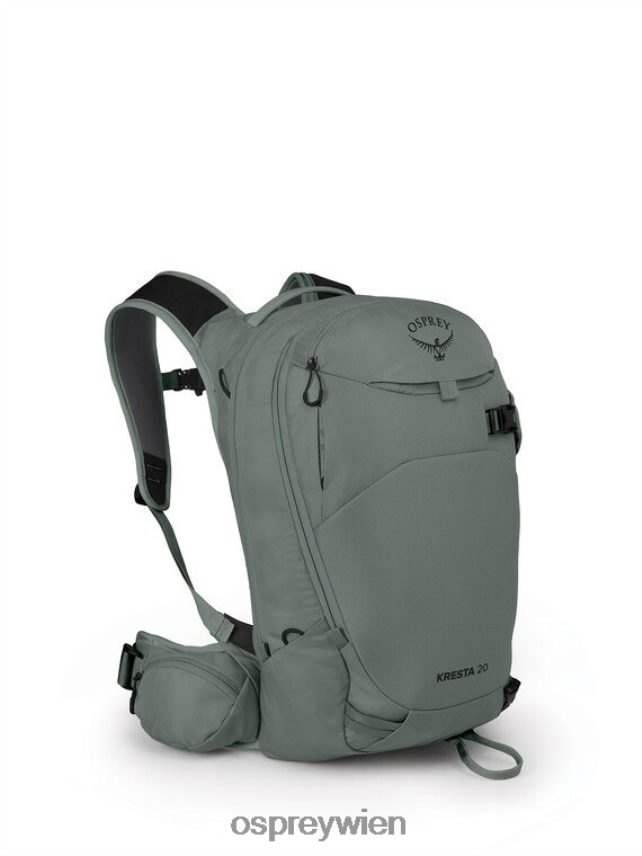 unisex Kresta 20 Backcountry-Skifahren/Snowboarden Osprey Kiefernblattgrün Rucksack J4028N463