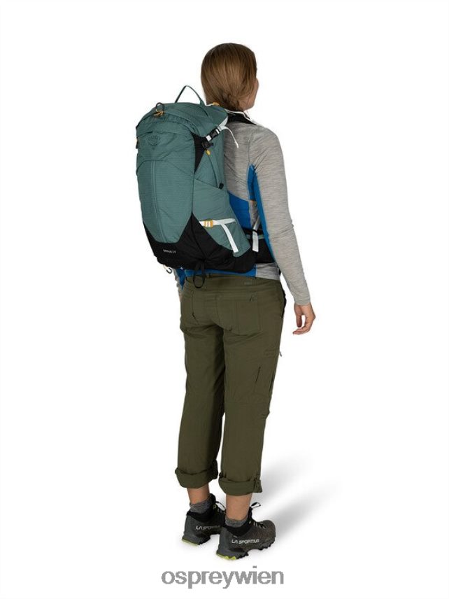 Frauen Sirrus 24-tägiges Wandern Osprey Blaubeere Rucksack J4028N288