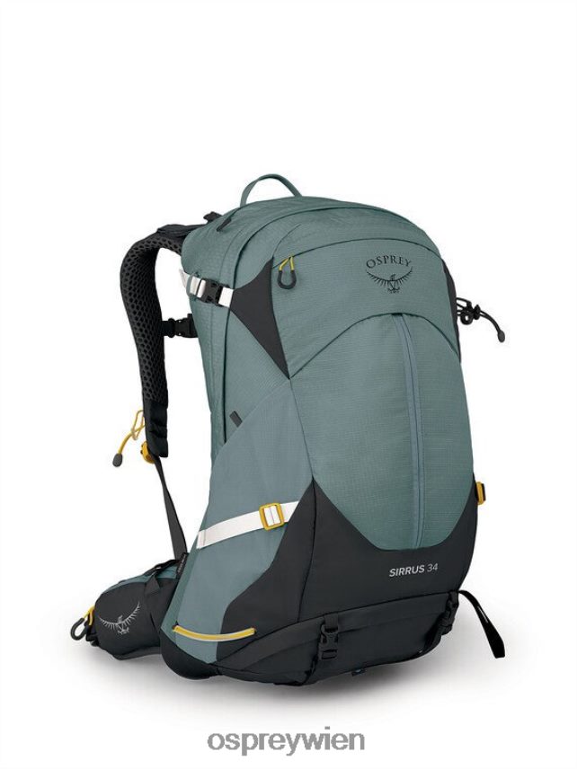 Frauen Sirrus 34 Tage Wandern Osprey saftiges Grün Rucksack J4028N291