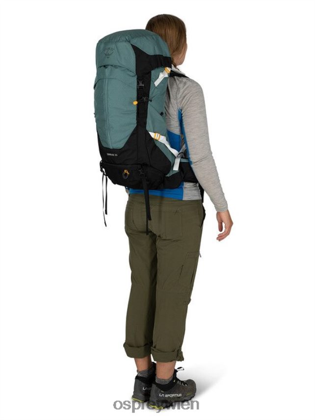 Frauen Sirrus 36 leichtes Rucksackwandern | Tageswandern Osprey Tunnelblick grau Rucksack J4028N293