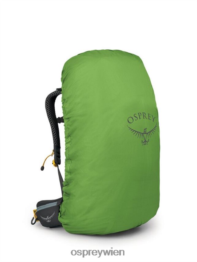 Frauen Sirrus 36 leichtes Rucksackwandern | Tageswandern Osprey saftiges Grün Rucksack J4028N295