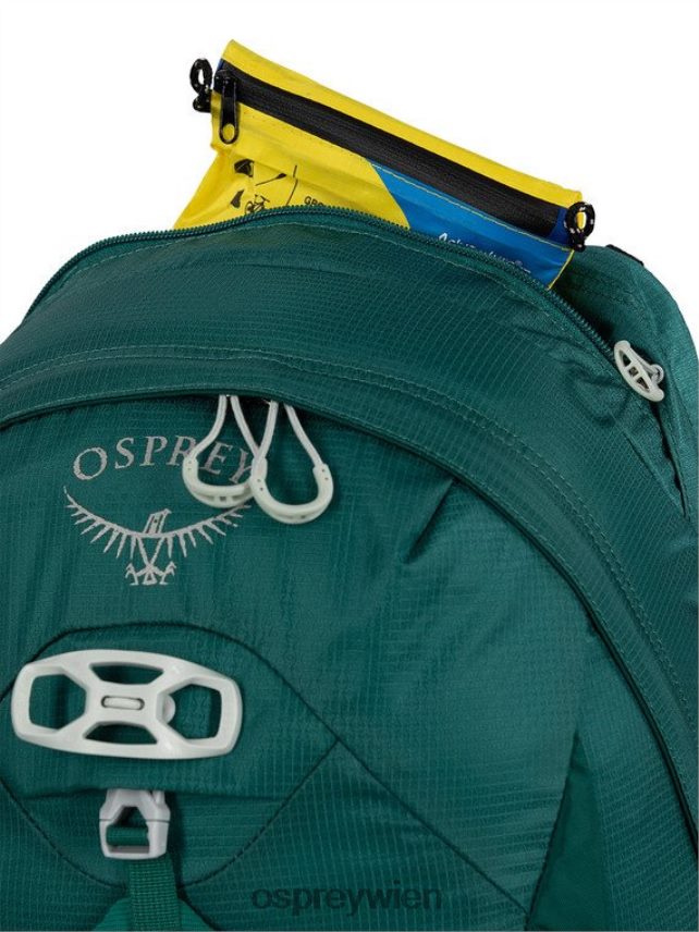 Frauen Sturm 20 Tage Wandern Osprey Jaspisgrün Rucksack J4028N336