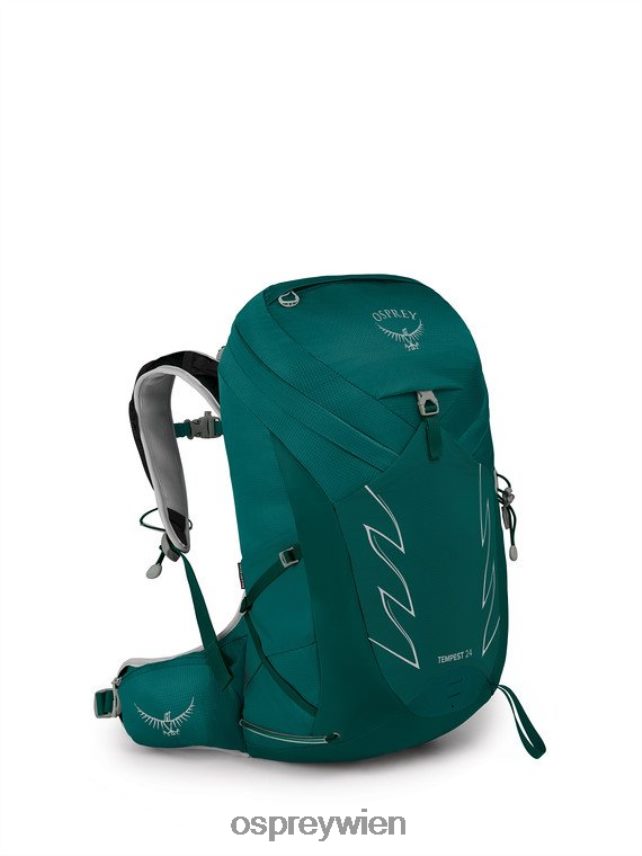 Frauen Sturm 24 Wandern | Multisport Osprey Jaspisgrün Rucksack J4028N343