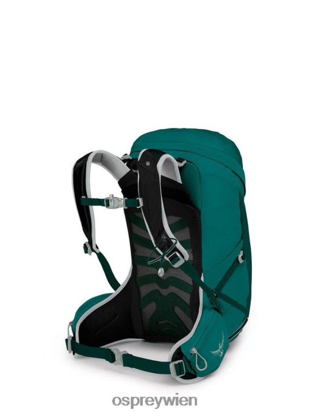 Frauen Sturm 24 Wandern | Multisport Osprey Jaspisgrün Rucksack J4028N343