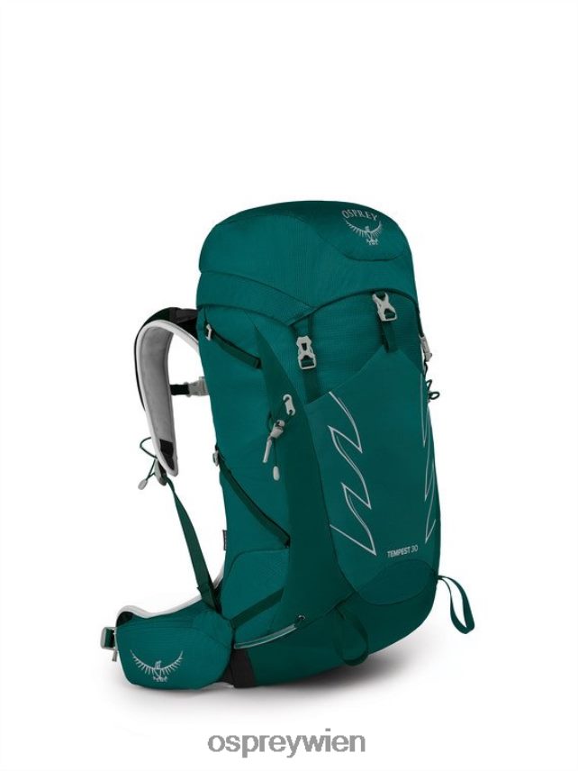 Frauen Sturm 30 Tage Wandern Osprey Jaspisgrün Rucksack J4028N347