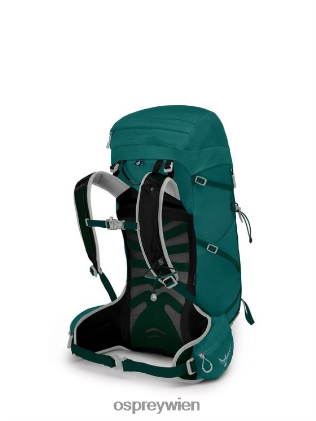 Frauen Sturm 30 Tage Wandern Osprey Jaspisgrün Rucksack J4028N347