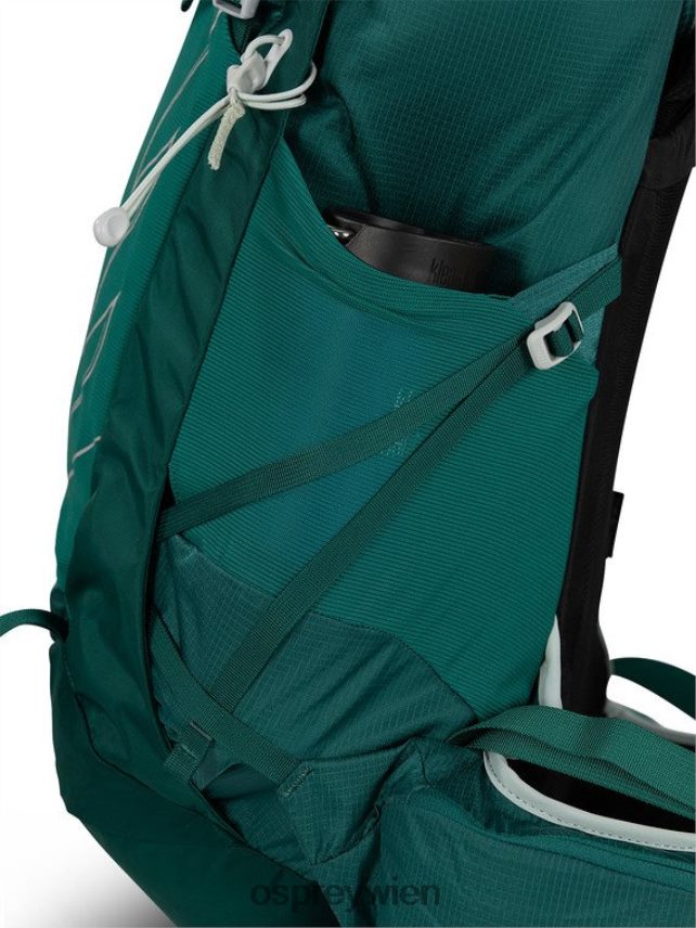 Frauen Sturm 30 Tage Wandern Osprey Jaspisgrün Rucksack J4028N347