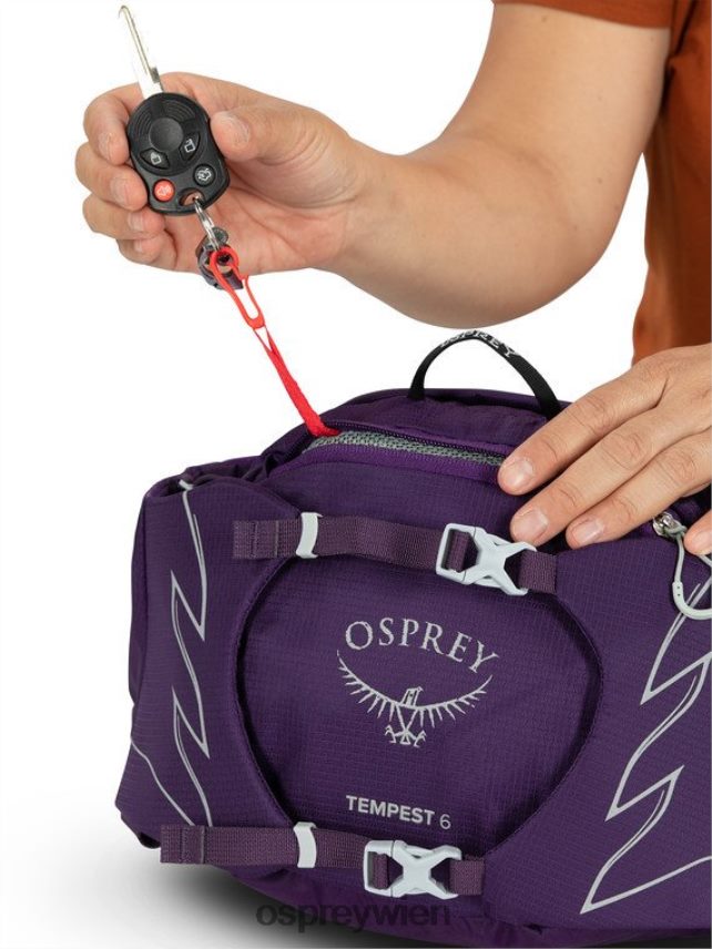 Frauen Sturm 6 Wandern | Multisport Osprey Aluminiumgrau Rucksack J4028N332