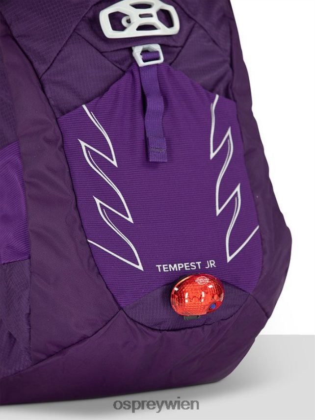Kinder Tempest Jr Wandern | Multisport Osprey Jaspisgrün Rucksack J4028N352