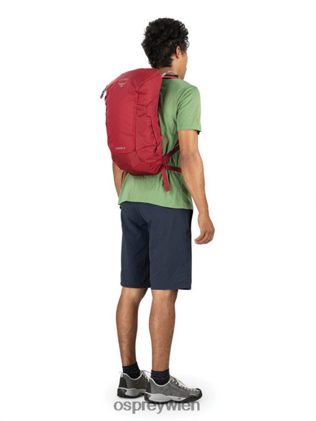 Männer Skarabäus 18 Wandern | Flüssigkeitszufuhr Osprey mystisches Rot Rucksack J4028N402
