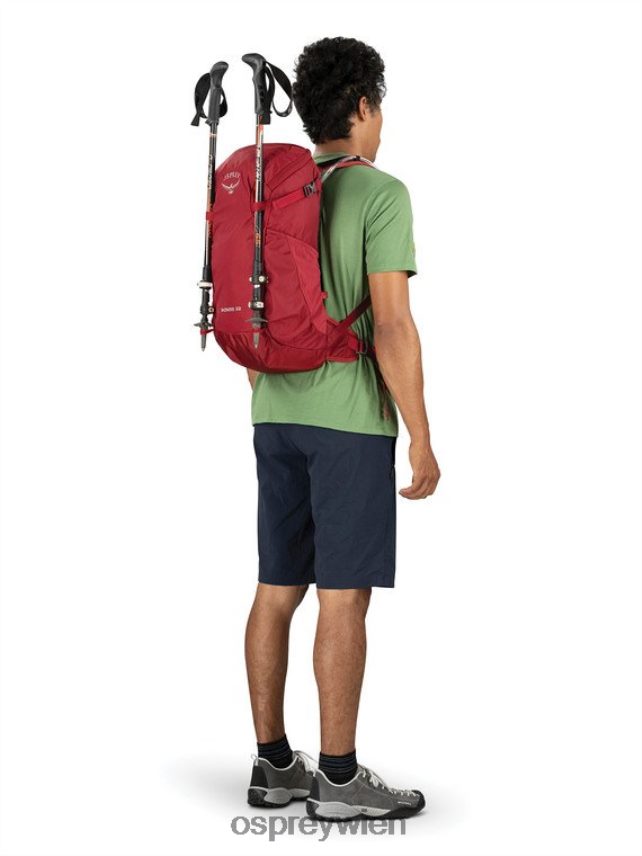 Männer Skarabäus 22 Wandern | Flüssigkeitszufuhr Osprey Schwarz Rucksack J4028N411