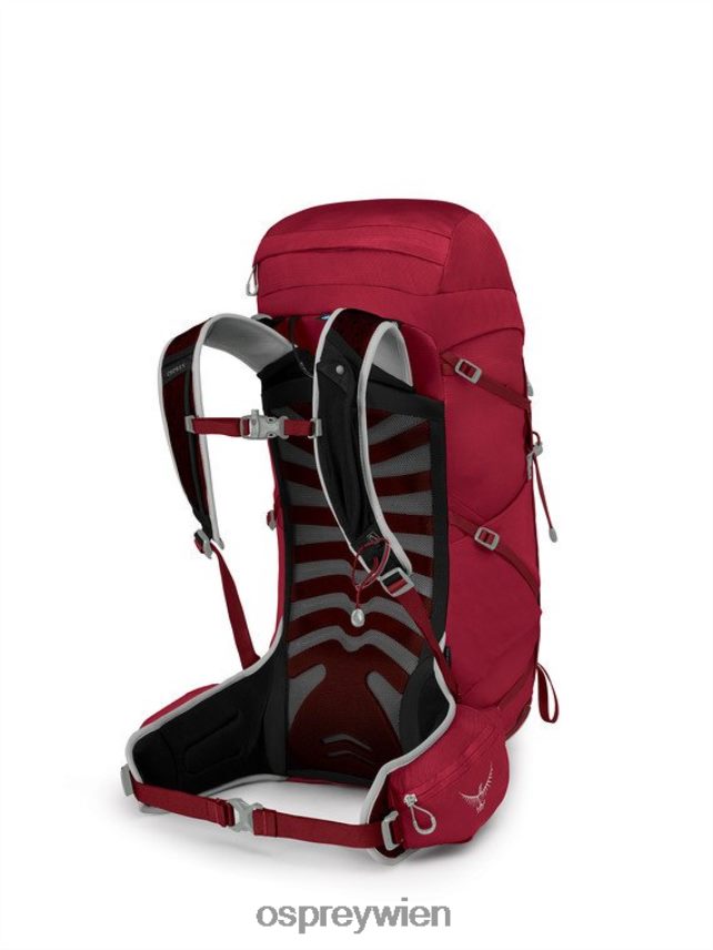Männer Talon 33 Tage Wandern Osprey kosmisches Rot Rucksack J4028N311