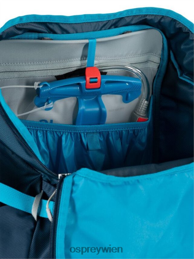 unisex Hikelite 32 Wandern Osprey Kiefernblattgrün Rucksack J4028N210