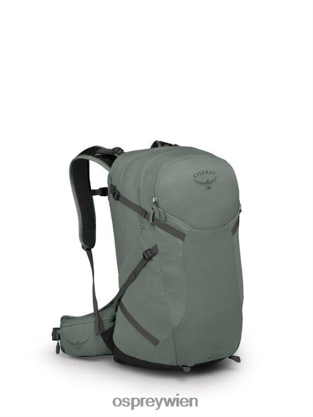 unisex Sportlite 25 Wandern Osprey Kiefernblattgrün Rucksack J4028N263
