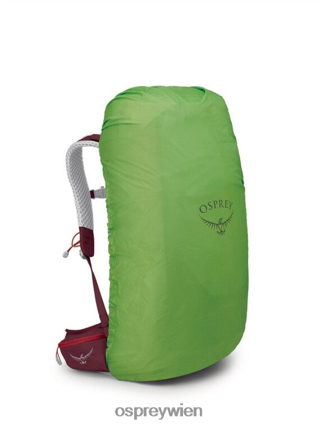 unisex Stratos 36 Leichter Rucksack | Tageswandern Osprey Weihnachtsstern rot Rucksack J4028N276
