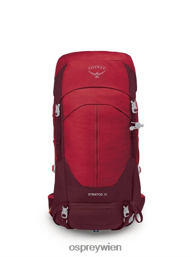 unisex Stratos 36 Leichter Rucksack | Tageswandern Osprey Weihnachtsstern rot Rucksack J4028N276