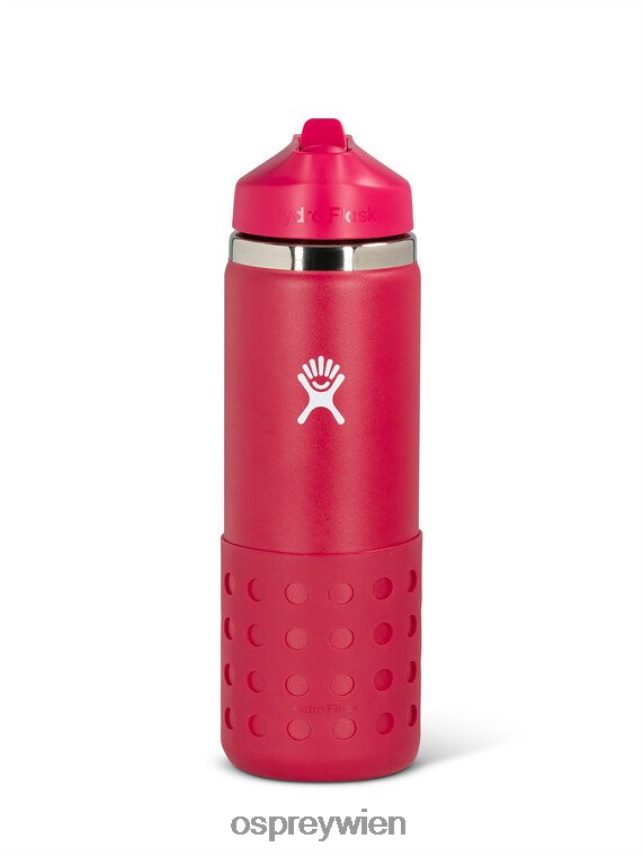 Kinder Hydroflasche | Flasche - 20 oz Markenware Osprey Schnapper rot Zubehörteil J4028N496