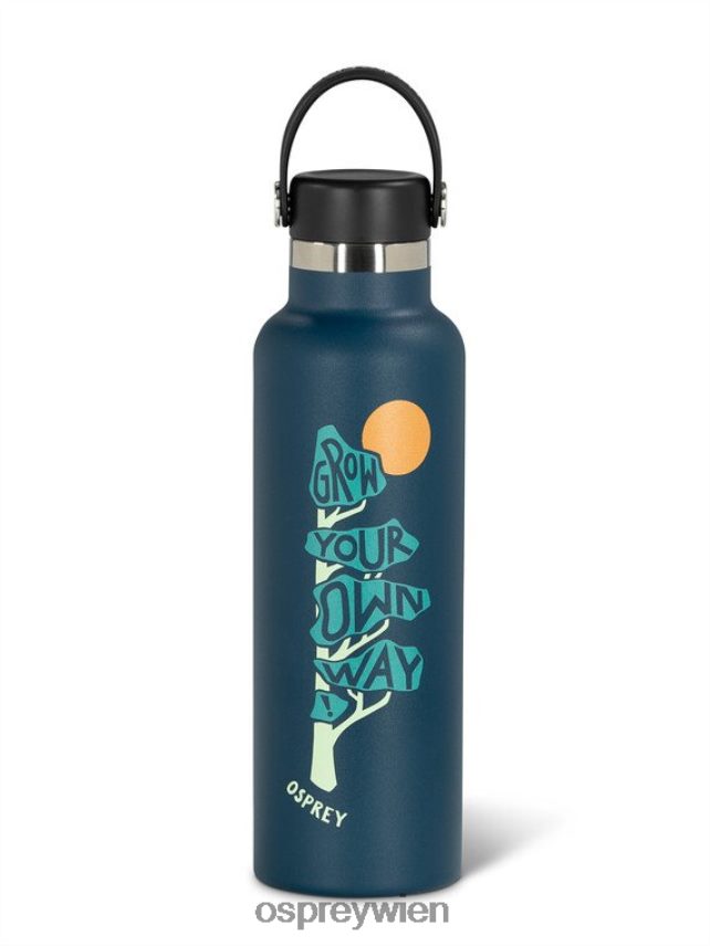 unisex Hydroflasche | Bauen Sie Ihre eigene Flasche mit 21-Unzen-Markenware an Osprey Indigo Blau Zubehörteil J4028N653